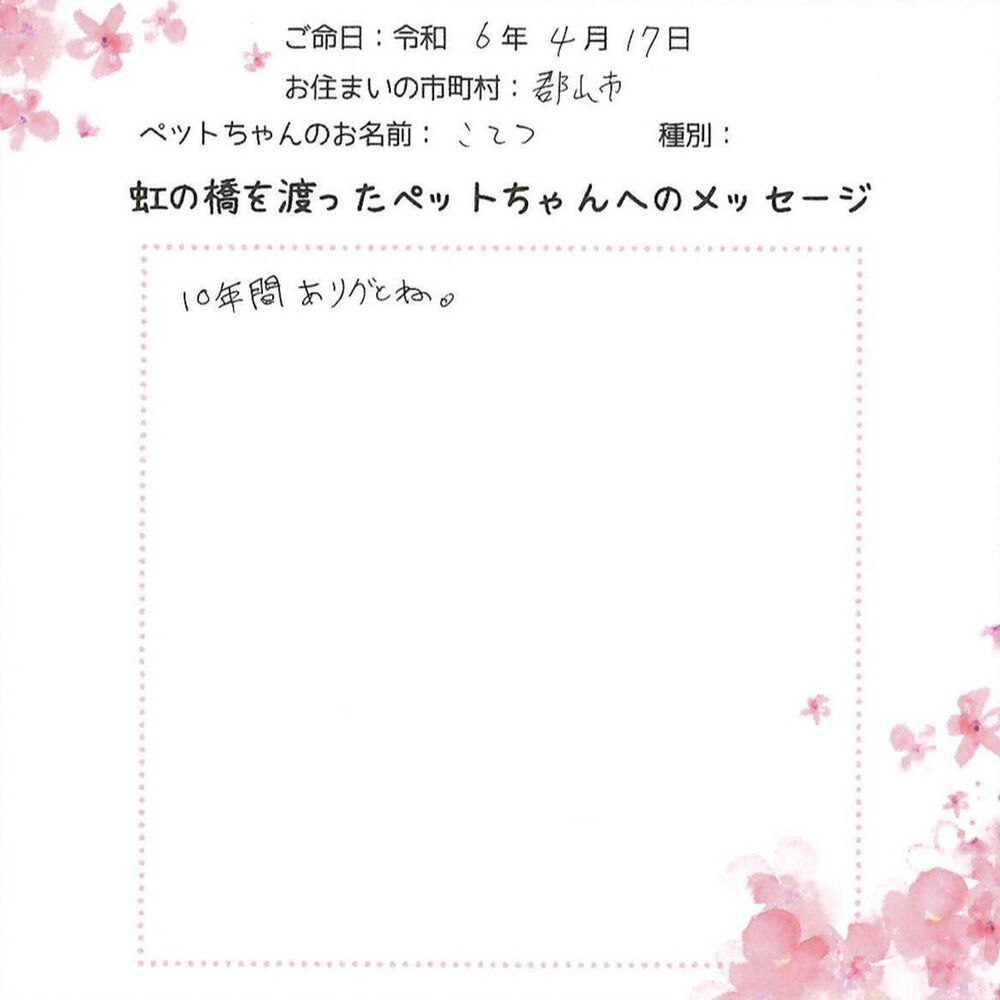 ブログ