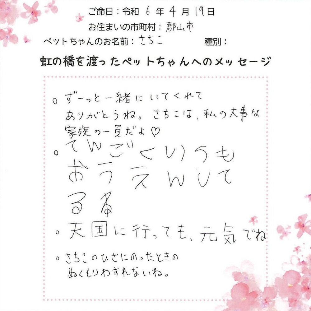 ブログ