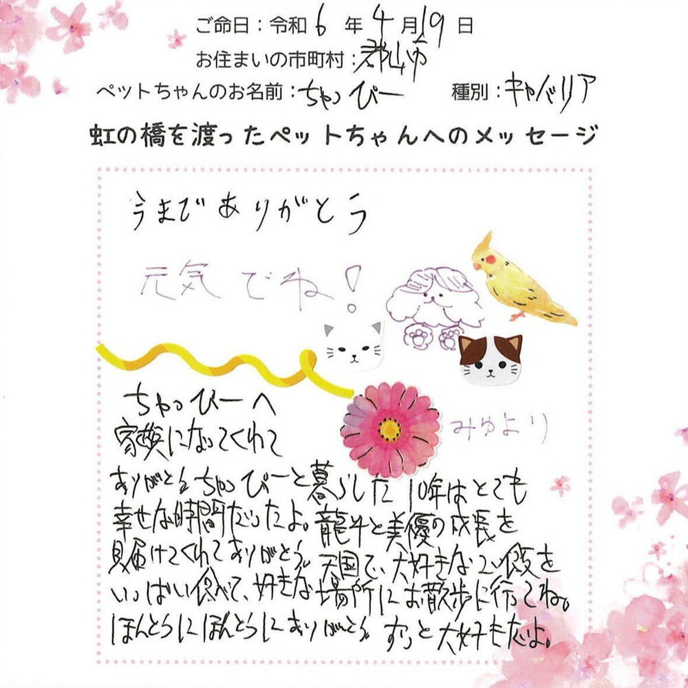 ブログ