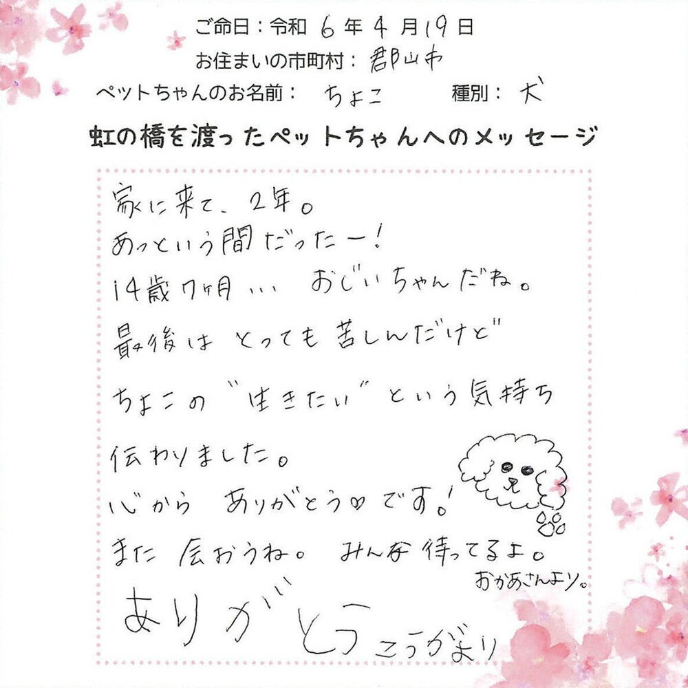 ブログ