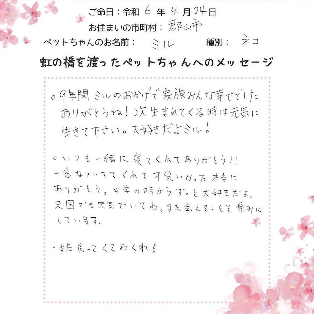 ブログ