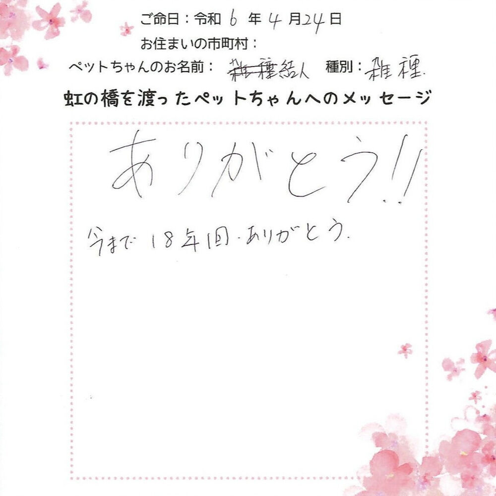 ブログ