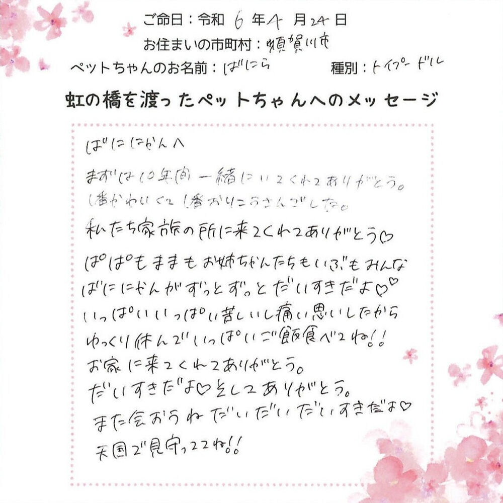 ブログ