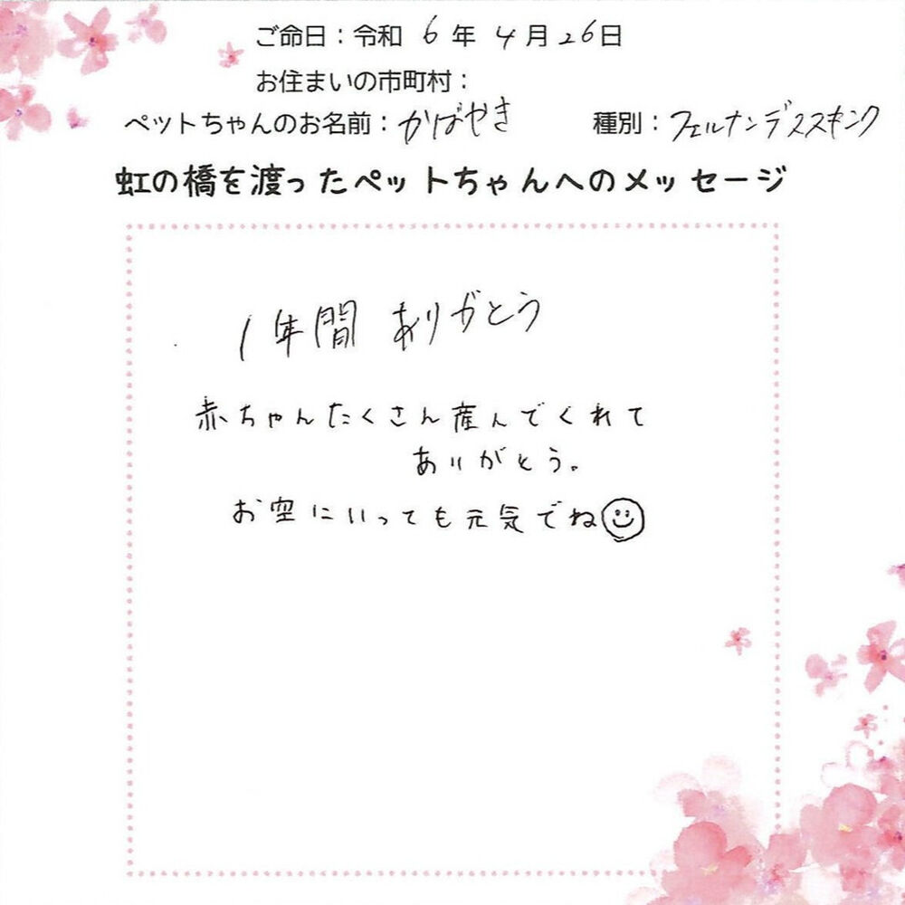 ブログ