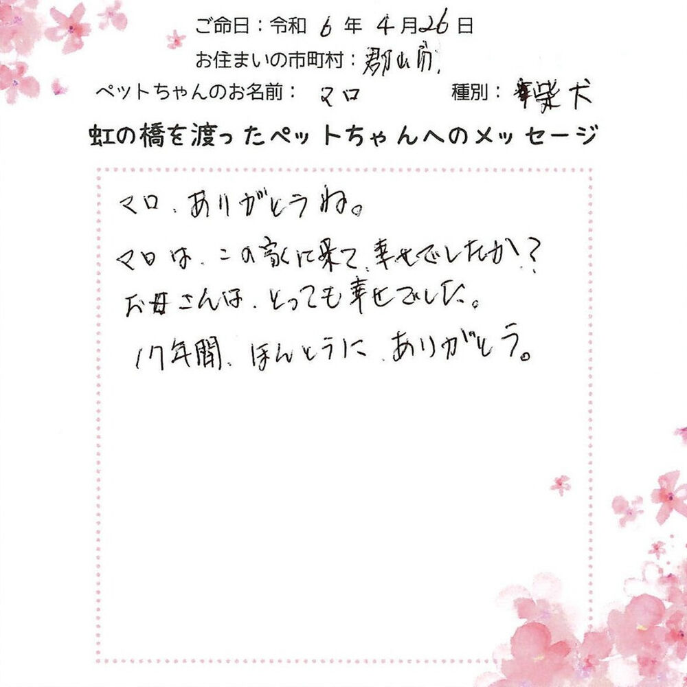 ブログ