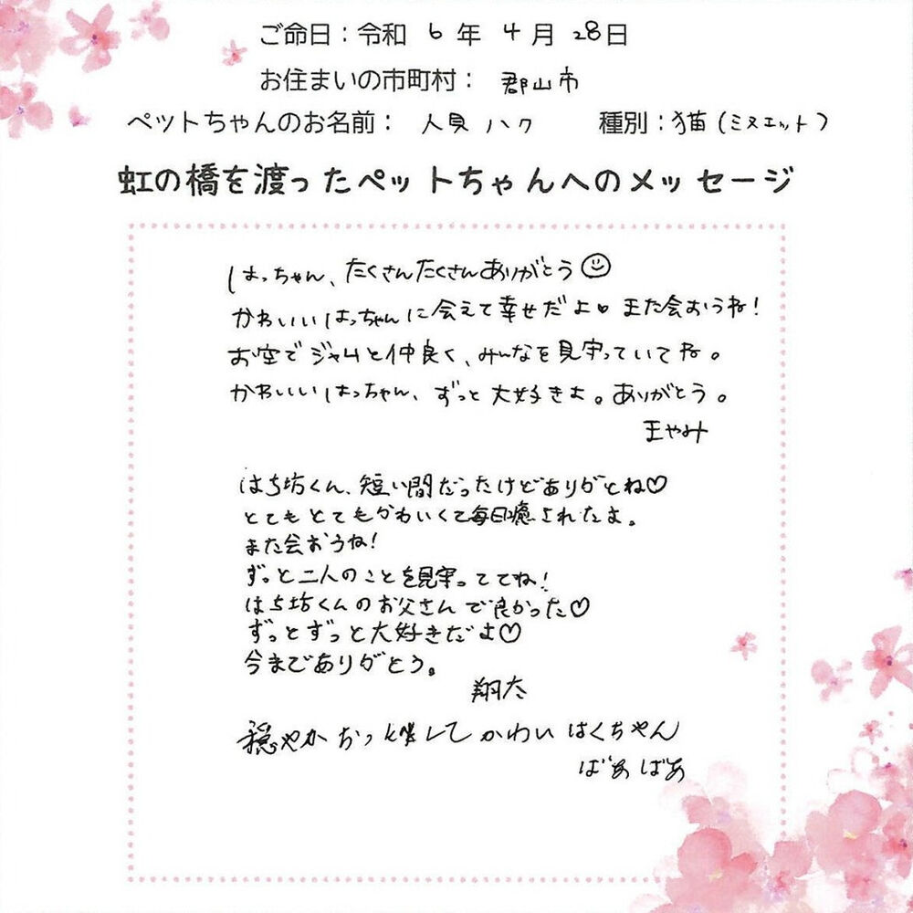 ブログ