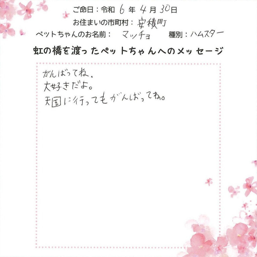 ブログ
