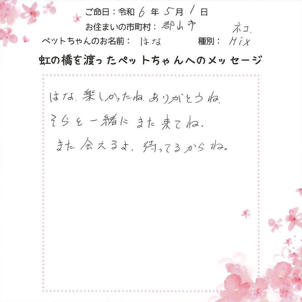 ブログ
