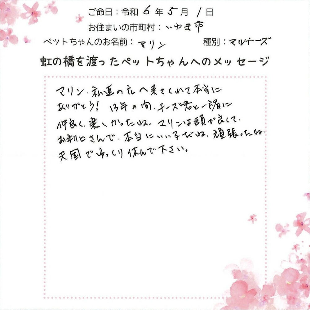 ブログ