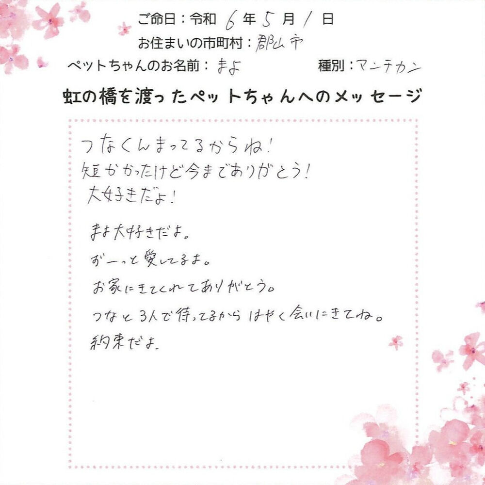 ブログ