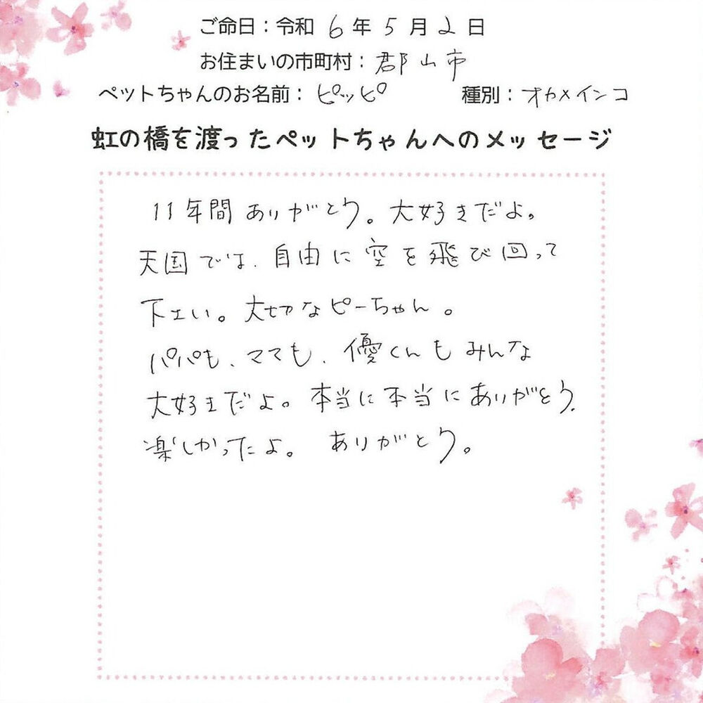 ブログ