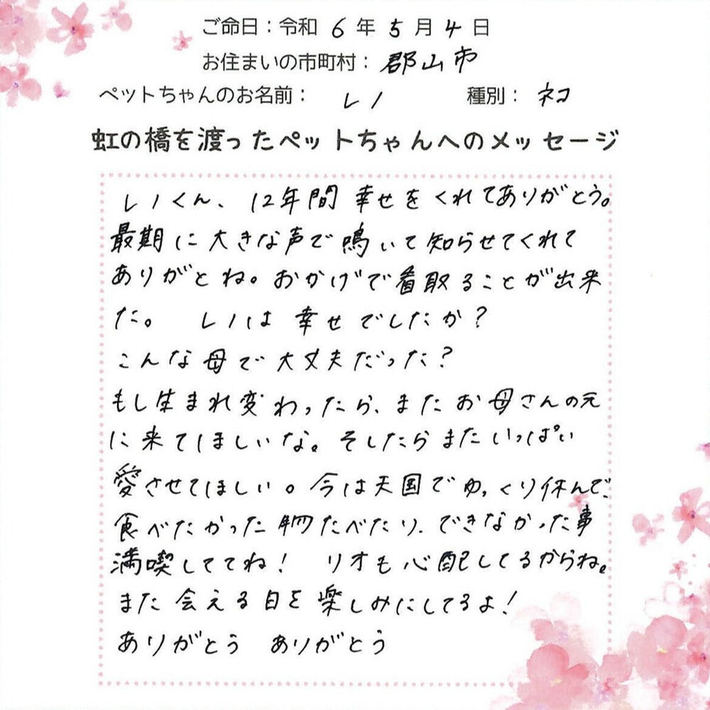 ブログ