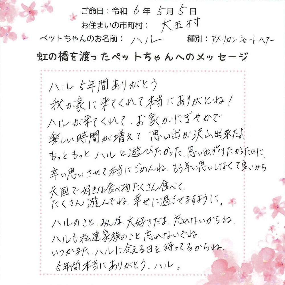ブログ
