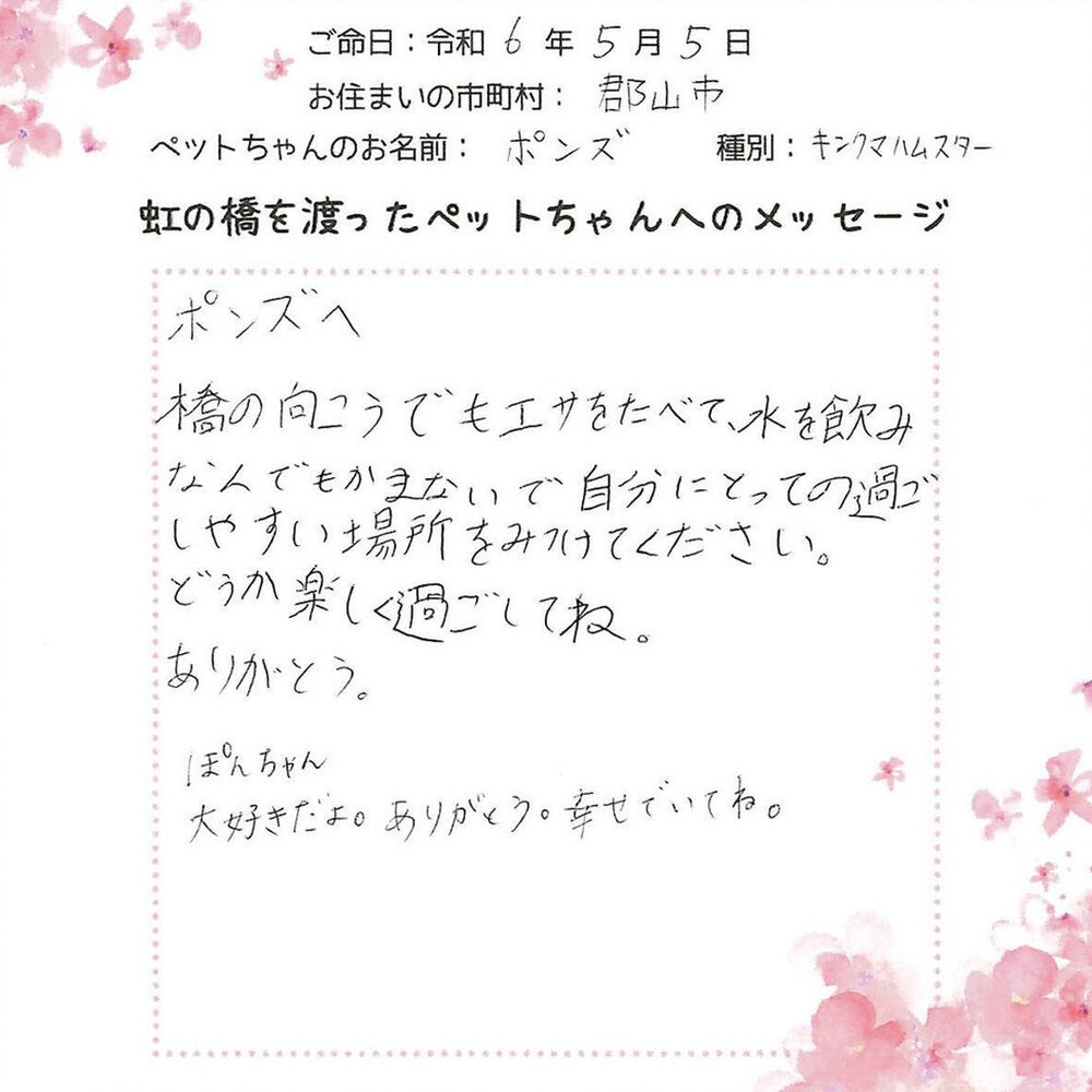 ブログ