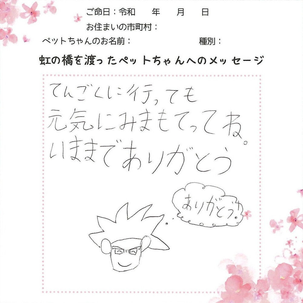 ブログ