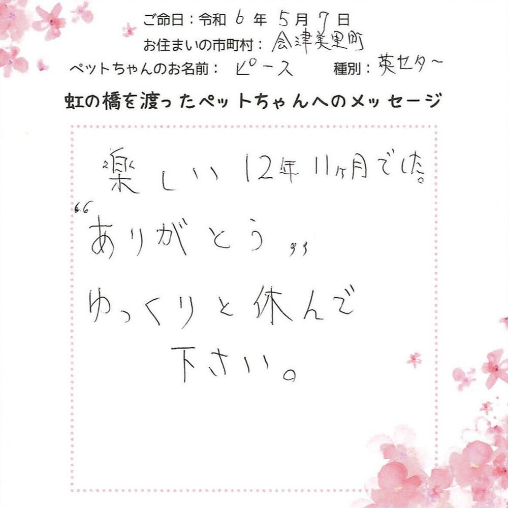 ブログ