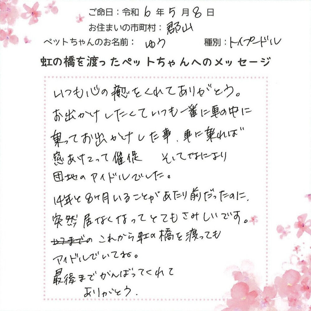 ブログ