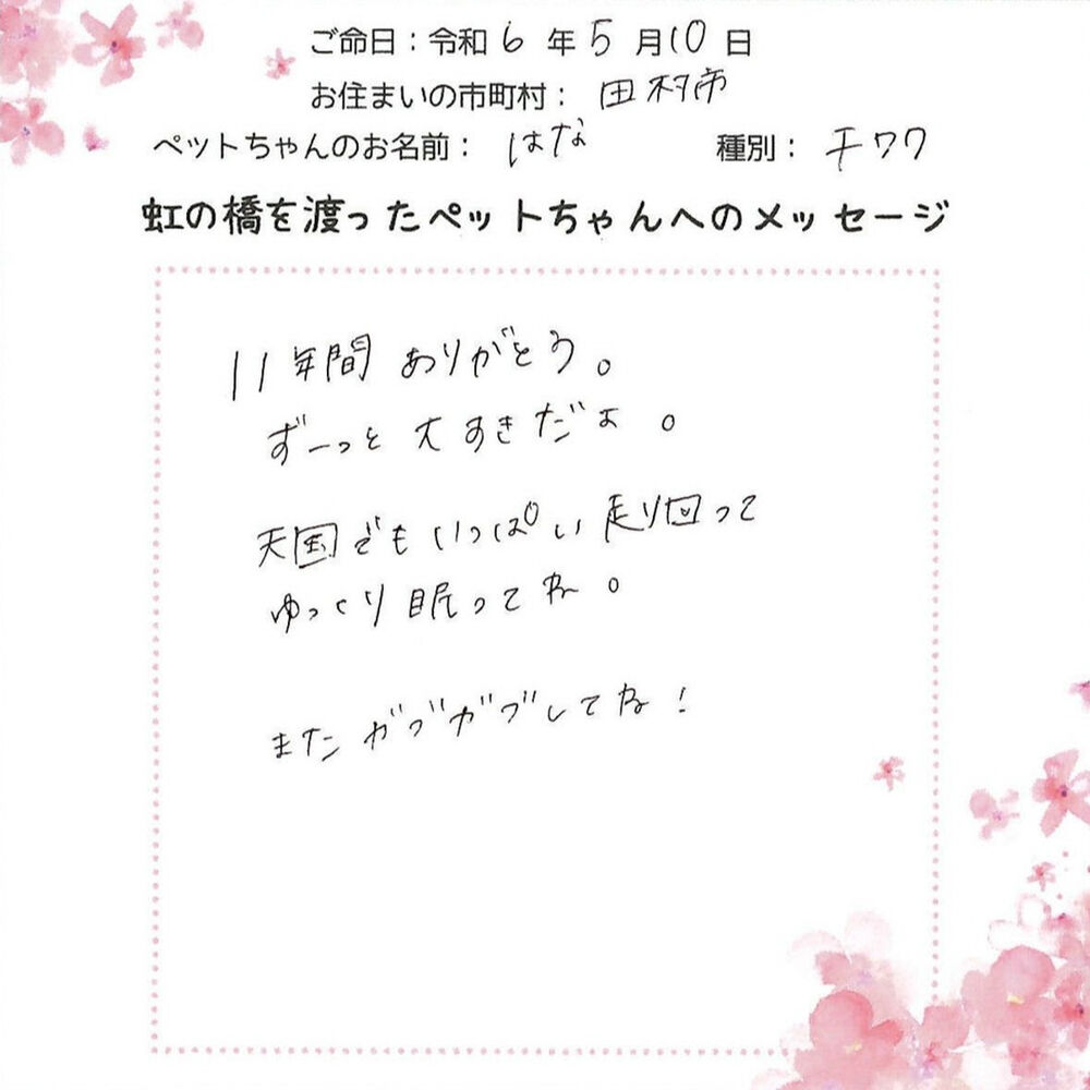 ブログ