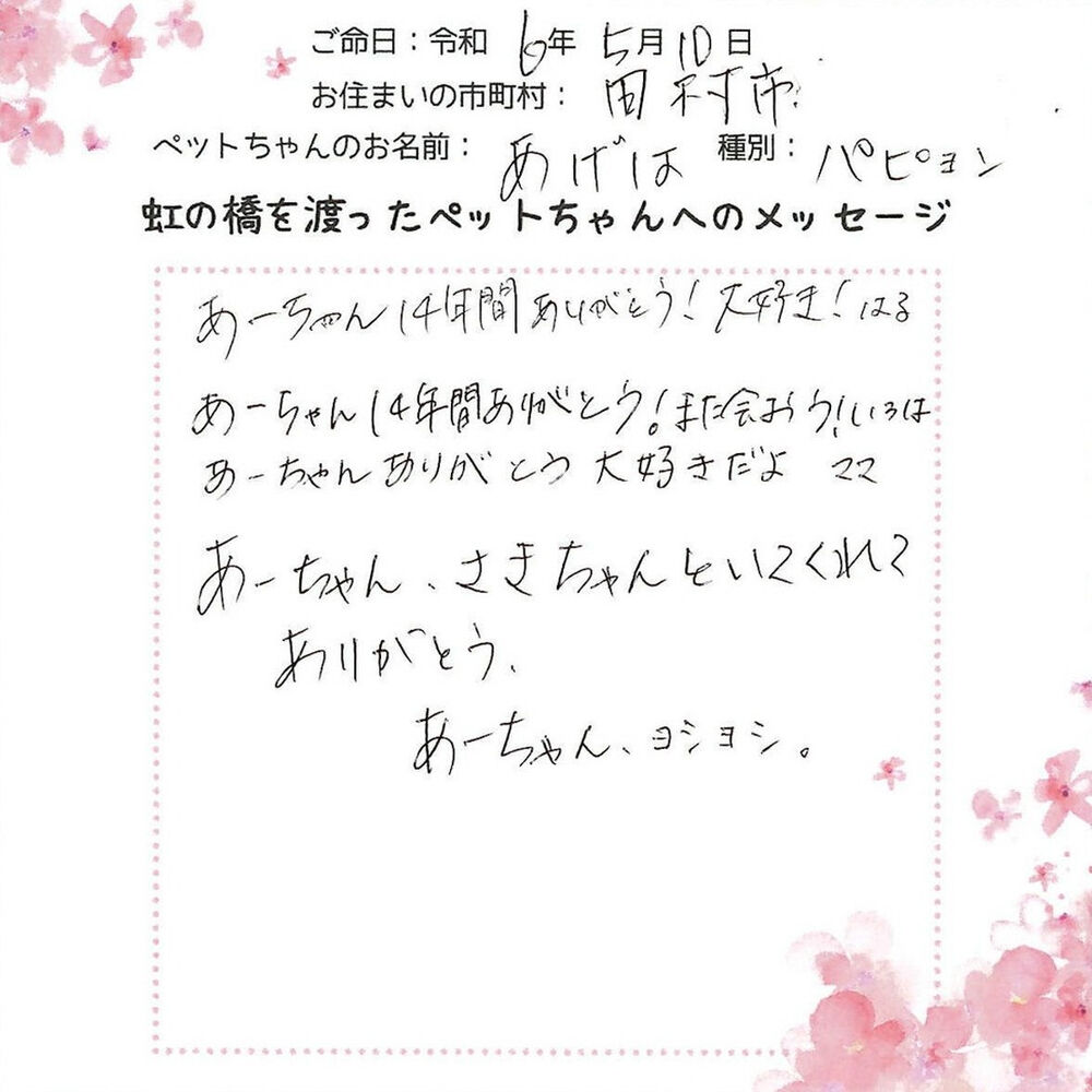ブログ