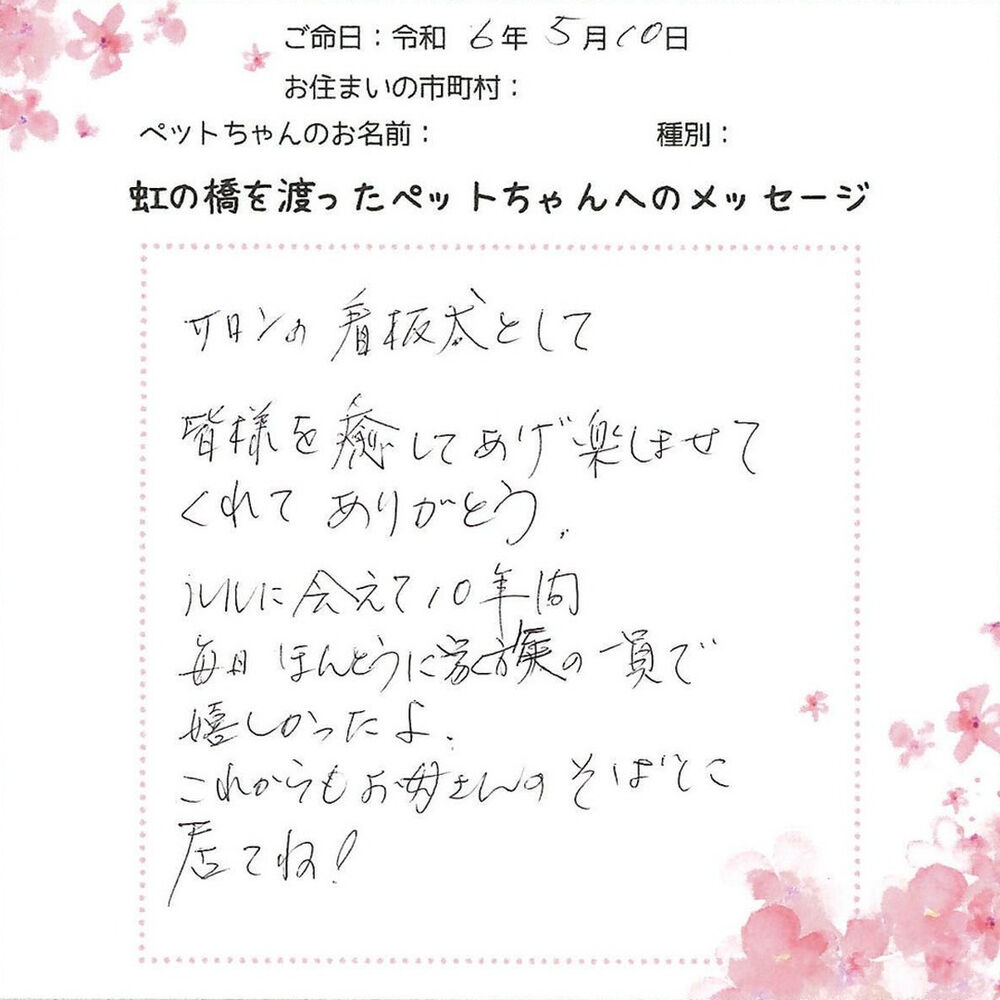 ブログ
