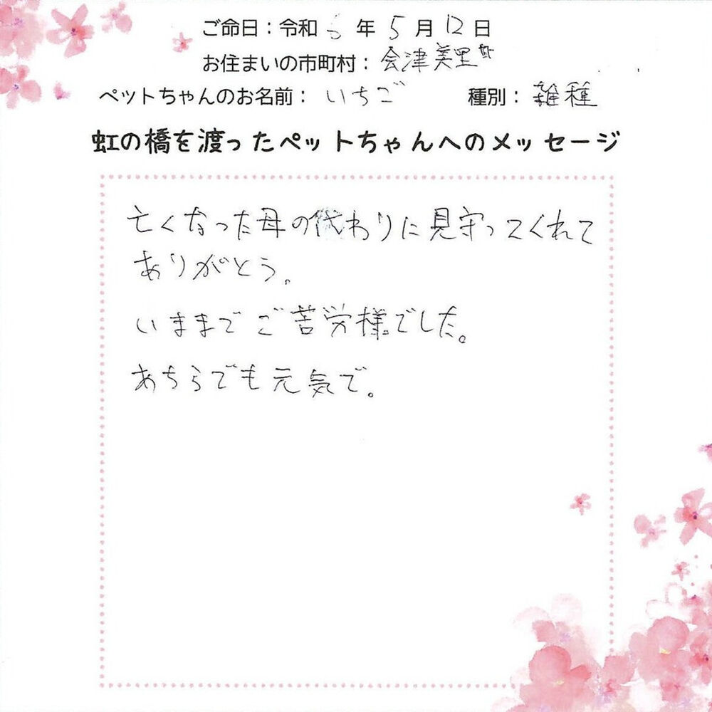 ブログ