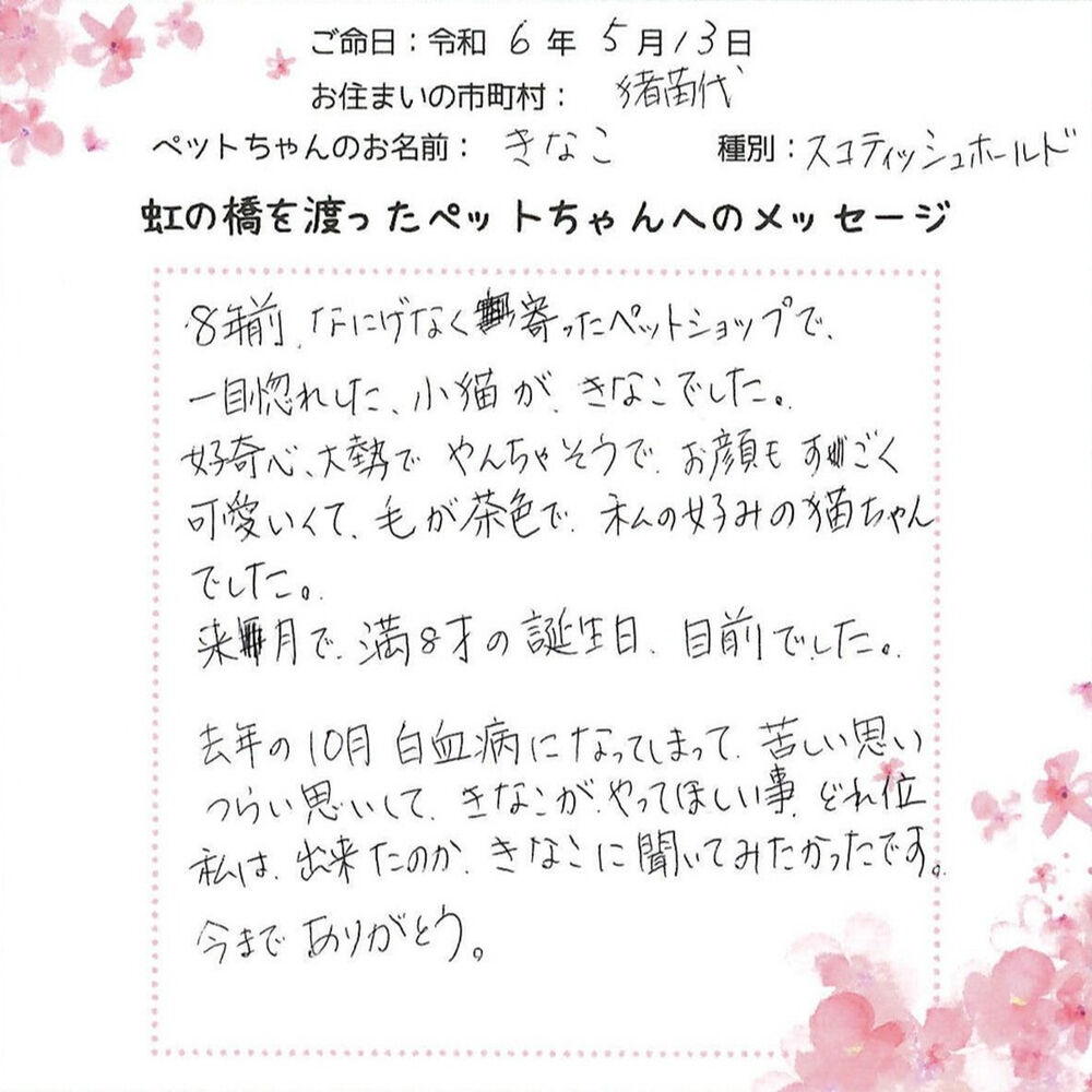 ブログ