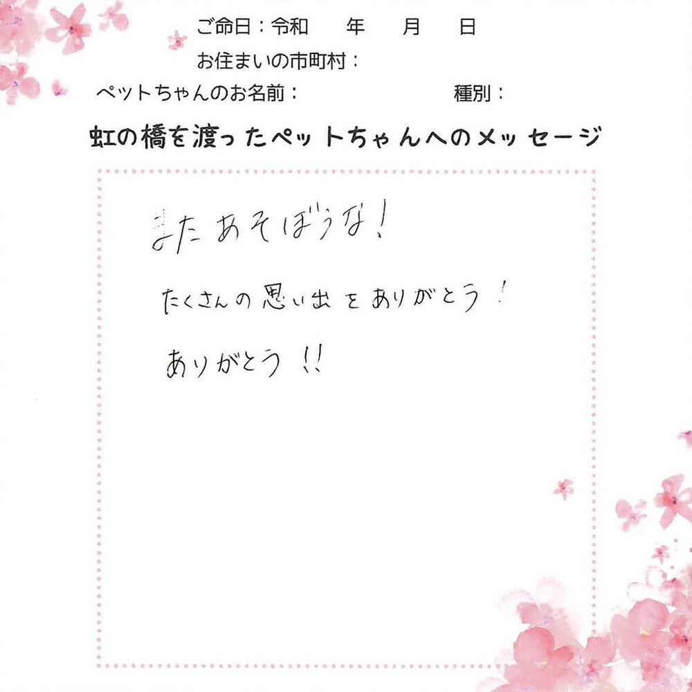 ブログ