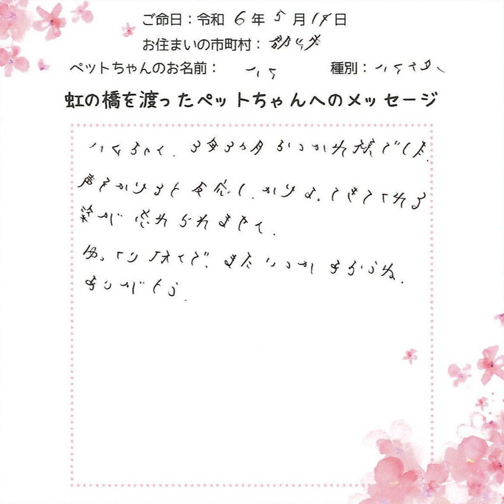 ブログ