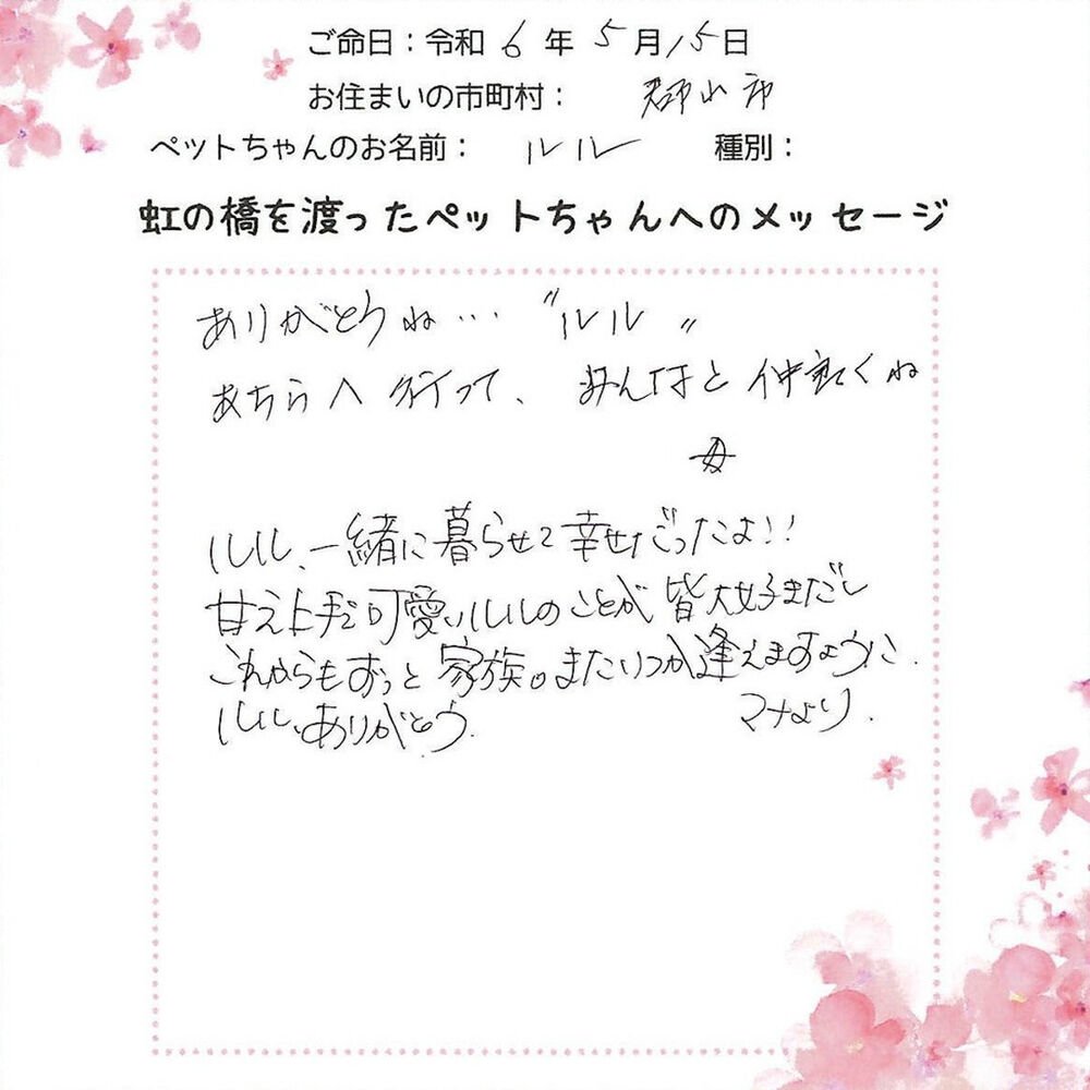 ブログ