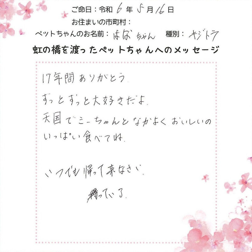 ブログ