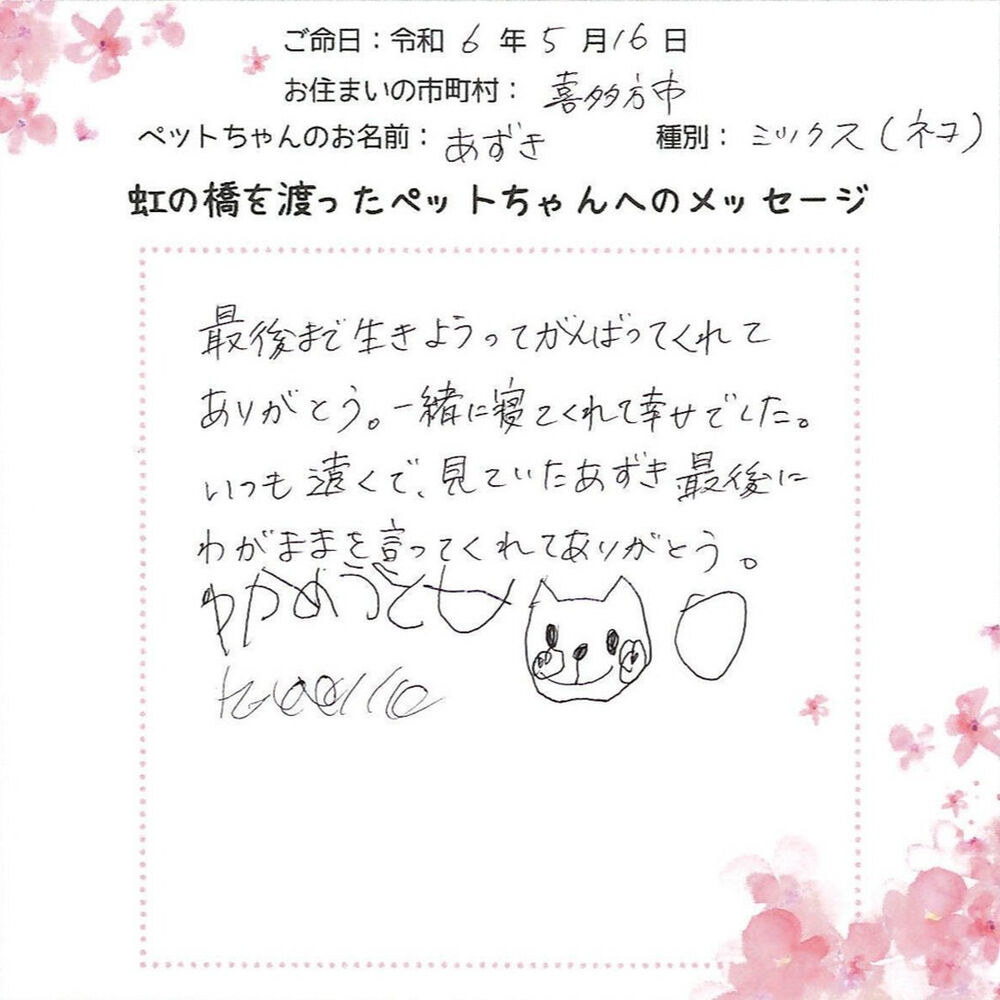 ブログ